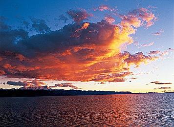 《原神》风系新角色立绘公布 少年侦探“鹿野院平藏”